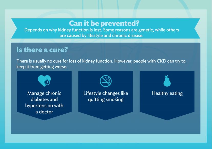 what-happens-when-your-kidneys-fail